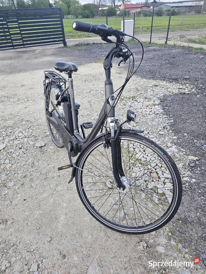 Rower elektrgazzelle