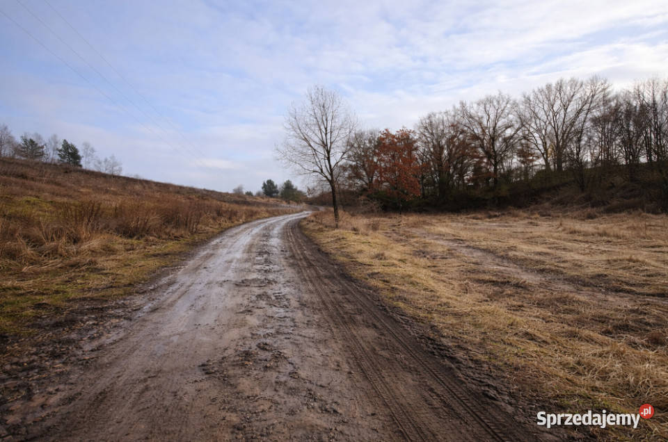 działka Radziszewo Szczecin sprzedam