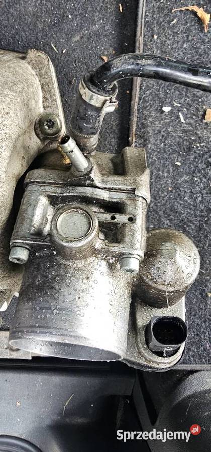 Przepustnica Audi Skoda Seat VW Lubliniec