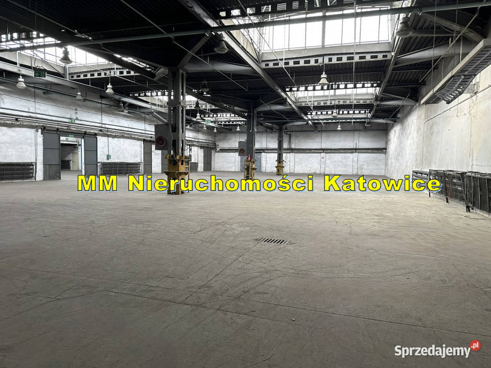 Magazyny z rampami i mediami do wynajęcia Sosnowiec