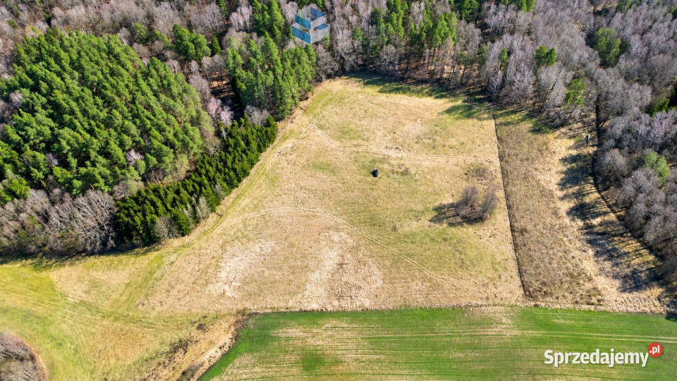 Ogłoszenie działka 7979m2 Jędrychówko warmińsko-mazurskie