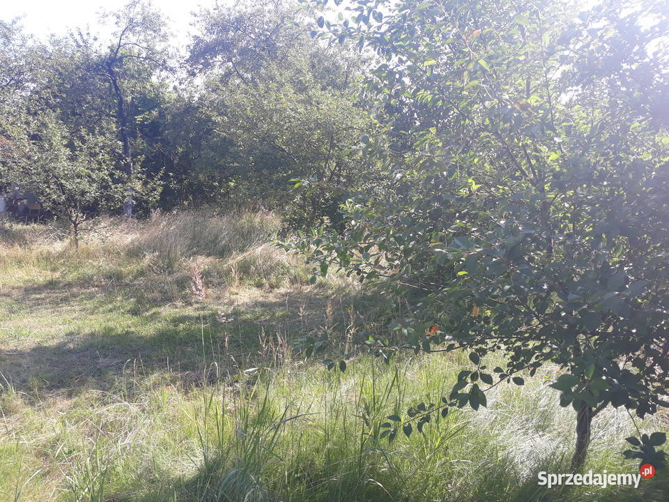 Działka ROD Wodnik Obornicka Różanka Wrocław dolnośląskie