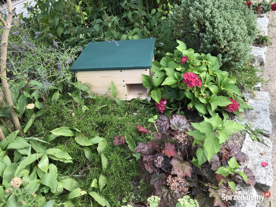 Budka lęgowa schron domek jeża 50 x 40 zachodniopomorskie Sławno