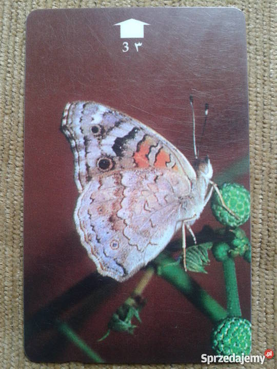 MOTYL MAGNETYCZNA KARTA Z OMANU Pocztówki i karty telefoniczne Piszczac