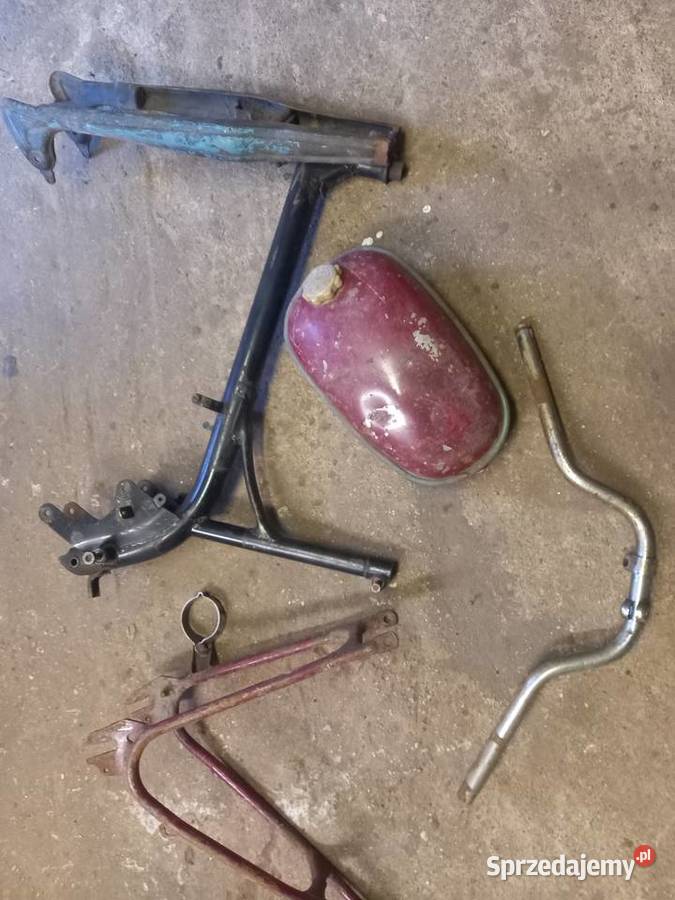 Komar sztywniak Sokołów Podlaski sprzedam