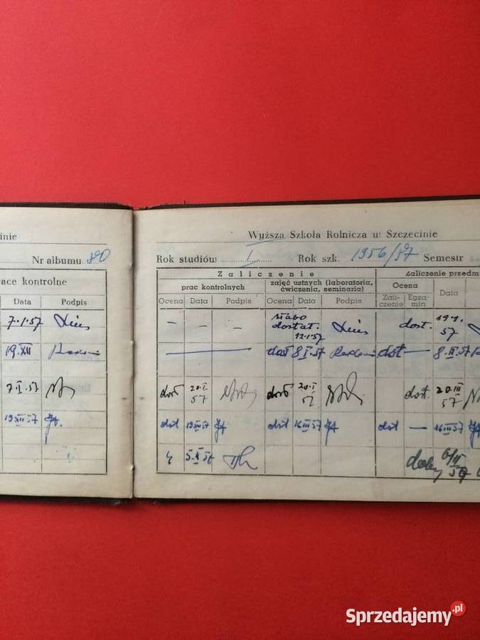 1589 Indeks Wyższej Szkoły Rolniczej Szczecin