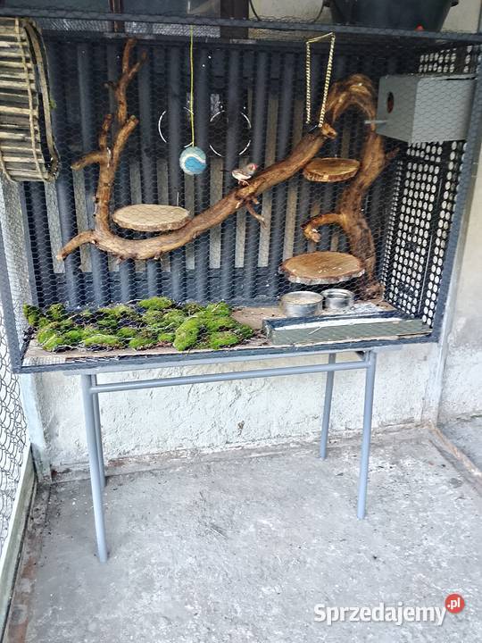 Klatka zewnetrzna woliera papugi zeberki