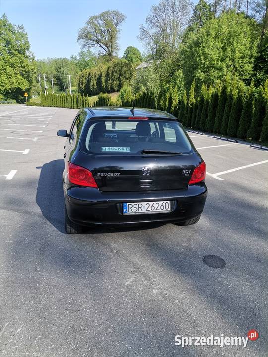 Peugeot 307 16 hdi podkarpackie Brzeziny