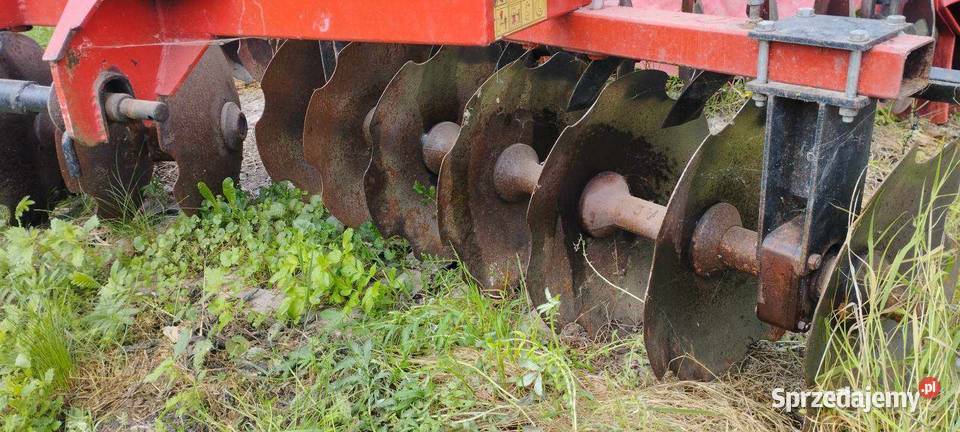 Talerzówka Strumyk 28m Łęki Szlacheckie