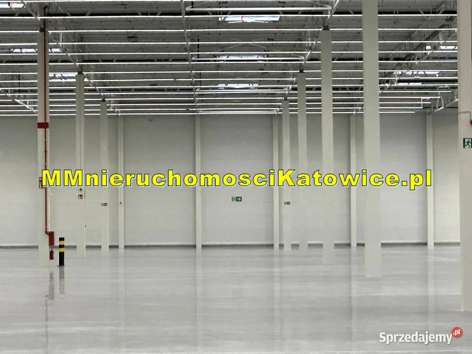 Magazyn do wynajęcia Mysłowice A4 i S1 rampy parking śląskie