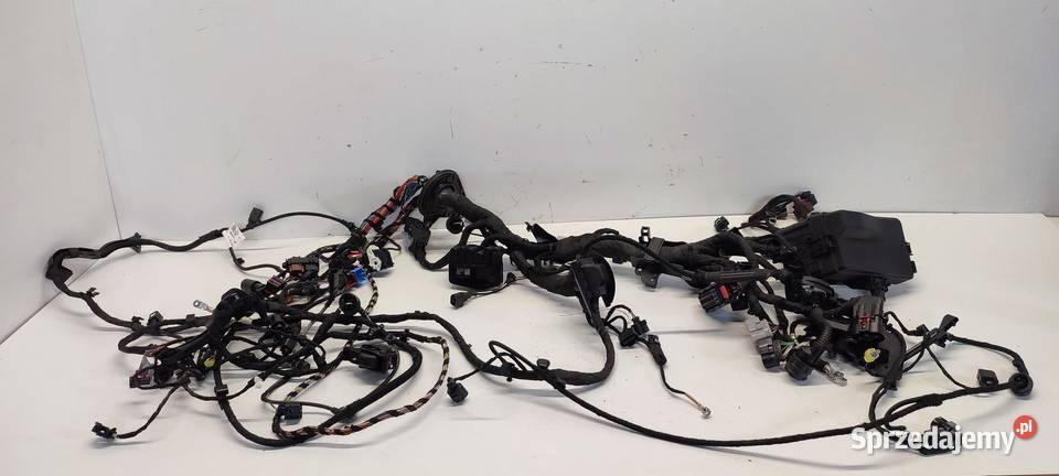 VW TAYRON WIĄZKA KOMORY SILNIKA 15 ETSI 2025