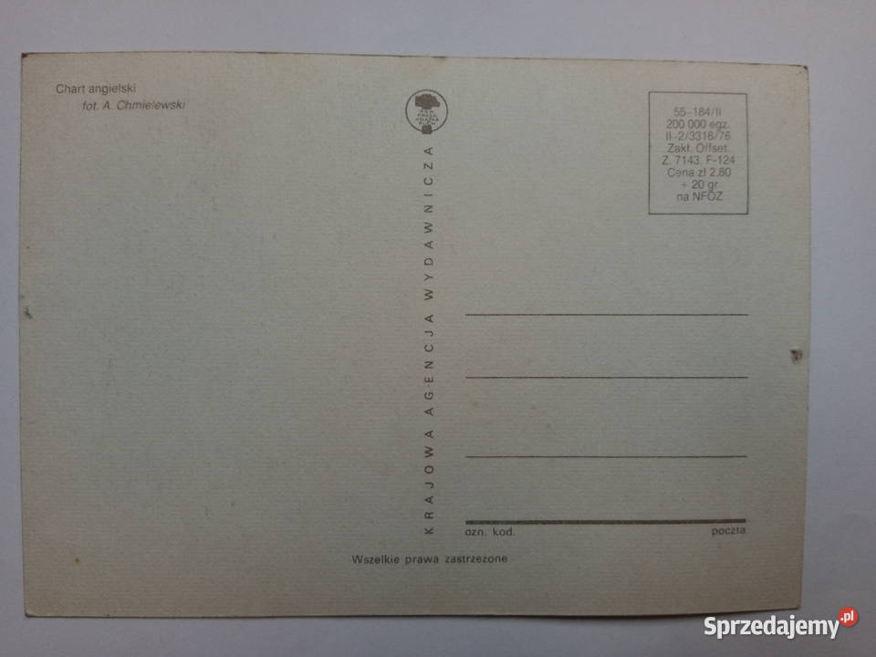2 Pocztówka z psem 1976r PRLu KOLEKCJA Dąbrowa Górnicza