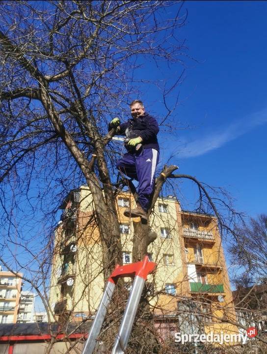 Prace Ogrodowe dolnośląskie Lubin prace ogrodowe