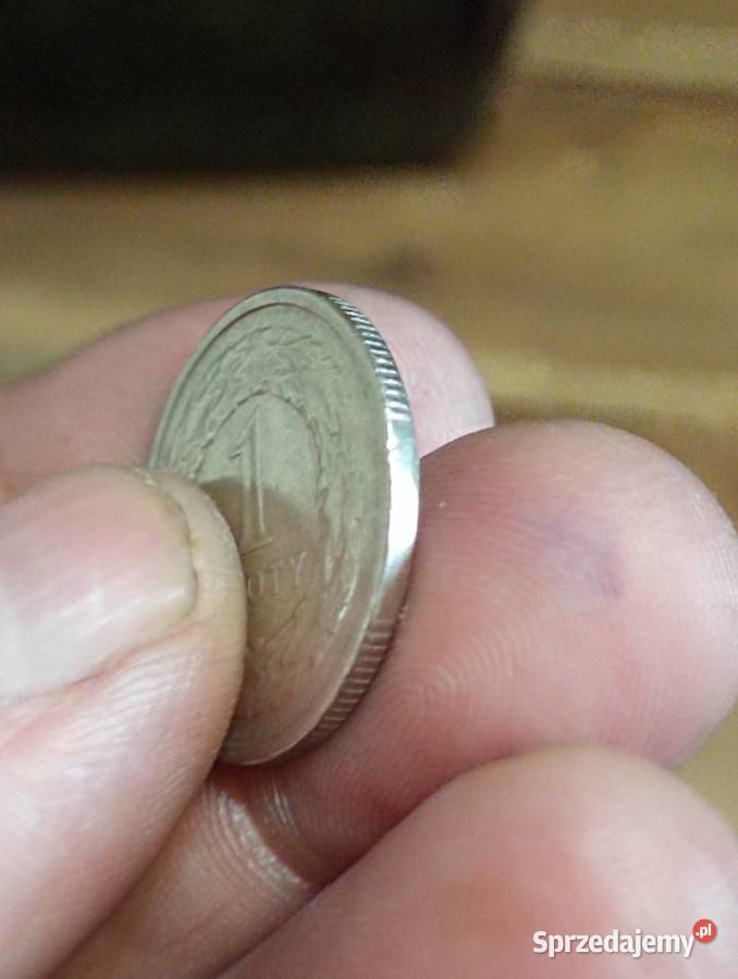 Sprzedam monete 1 zl 1995 Chełm sprzedam