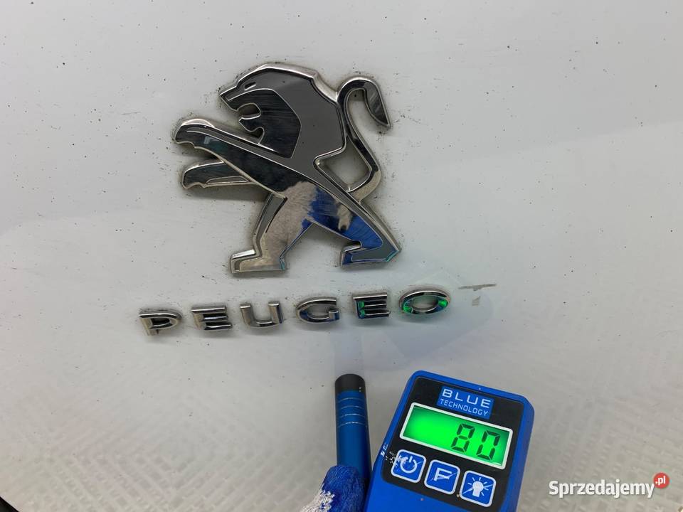 DRZWI TYLNE PRAWE PEUGEOT PARTNER IV Minivan