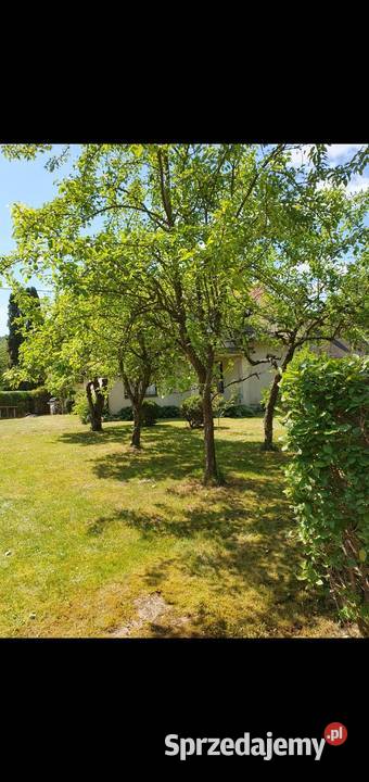 Sprzedam dom 120m2 jez Wulpińskiego Kręsk Gm wolnostojący Olsztyn