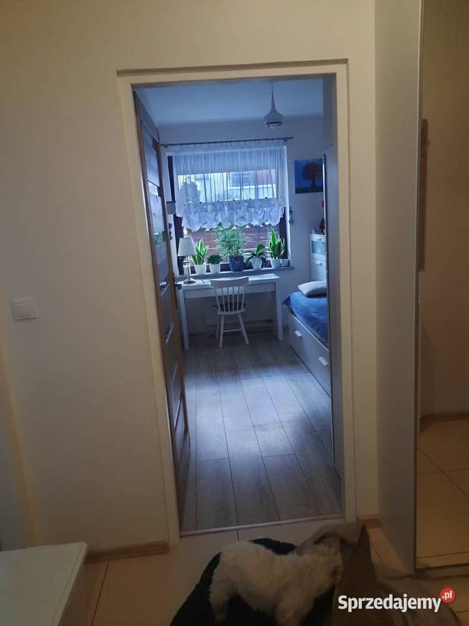 Mieszkanie bez pośredników os ESkulapa własność Sprzedaż Bydgoszcz