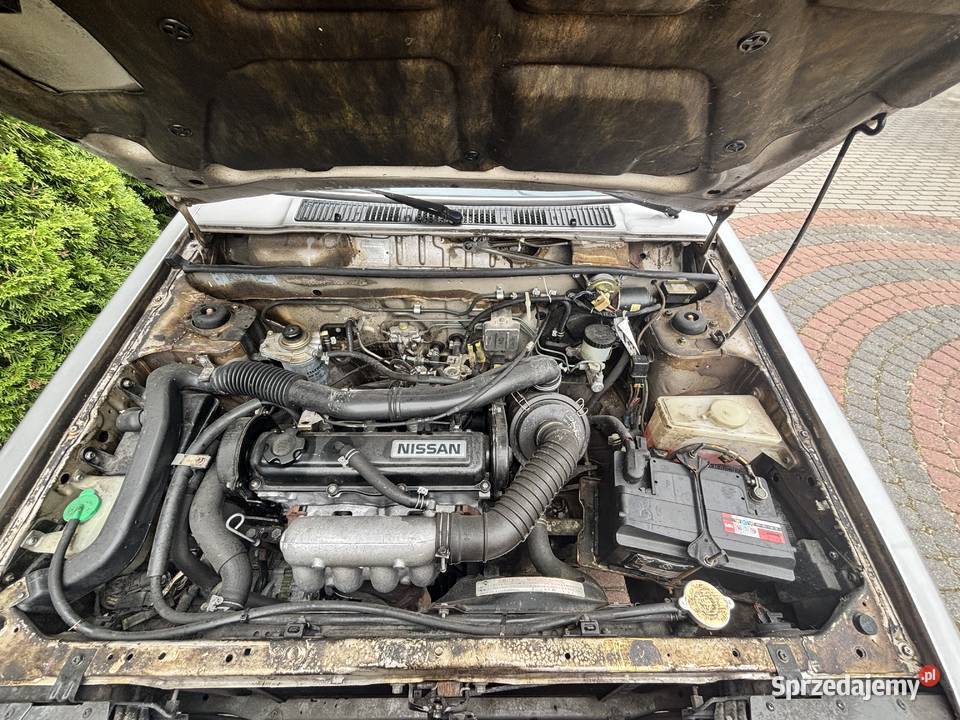 Nissan sunny manualna Sunny Zambrów