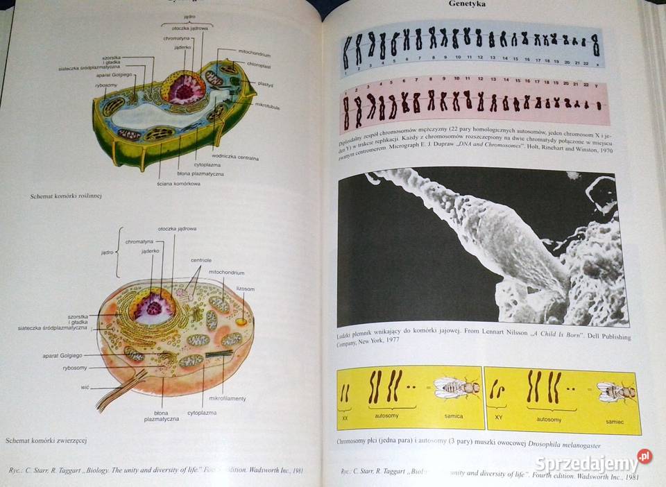 Aktualizacje Encyklopedyczne Życie Tom 3 Chełm