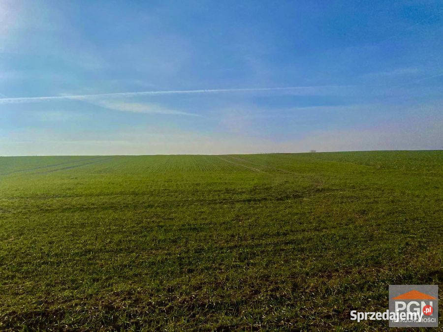 Do sprzedaży działka 10000m Skrobotowo 10zł/m2 zachodniopomorskie sprzedam