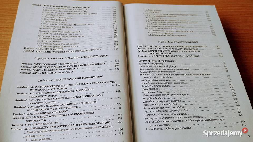 Terroryzm T 1 Brunon Hołyst Gdańsk