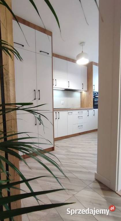 3pok 45met Zaporskiej ROZKŁADPIWNICA Wrocław sieć Sprzedaż