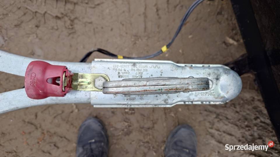 Przyczepka Thule towarowe