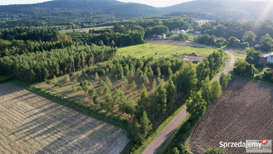 Działka 4775m2 Błażkowa