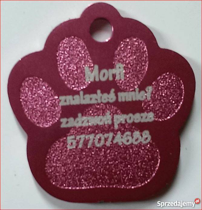 Morpheus ksero ulotki dyplomy ciecie znakowanie Bytom