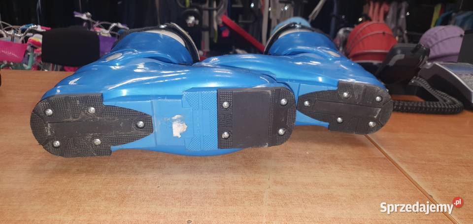 Buty narciarskie LANGE rozmiar 365 Dębica