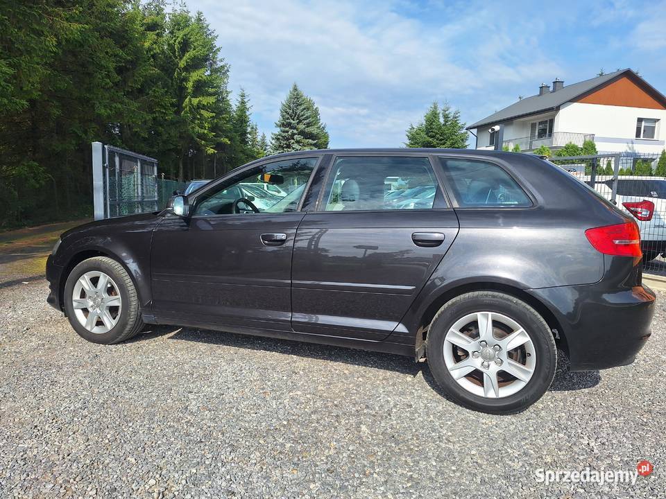 audi A3 Zamość