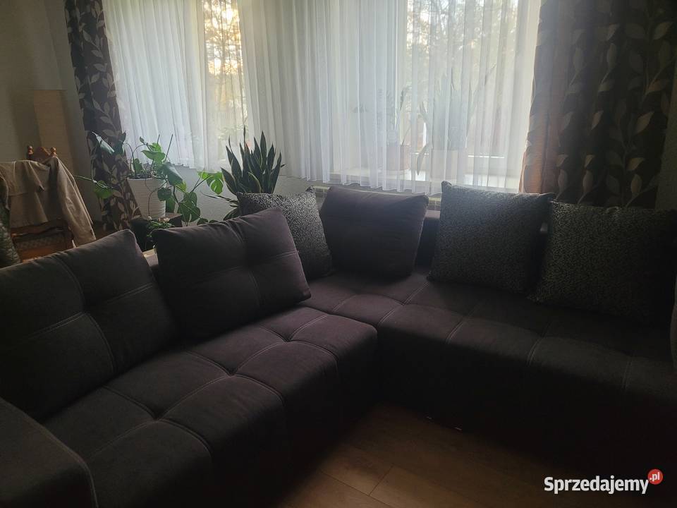 Kanapa śląskie Panoszów