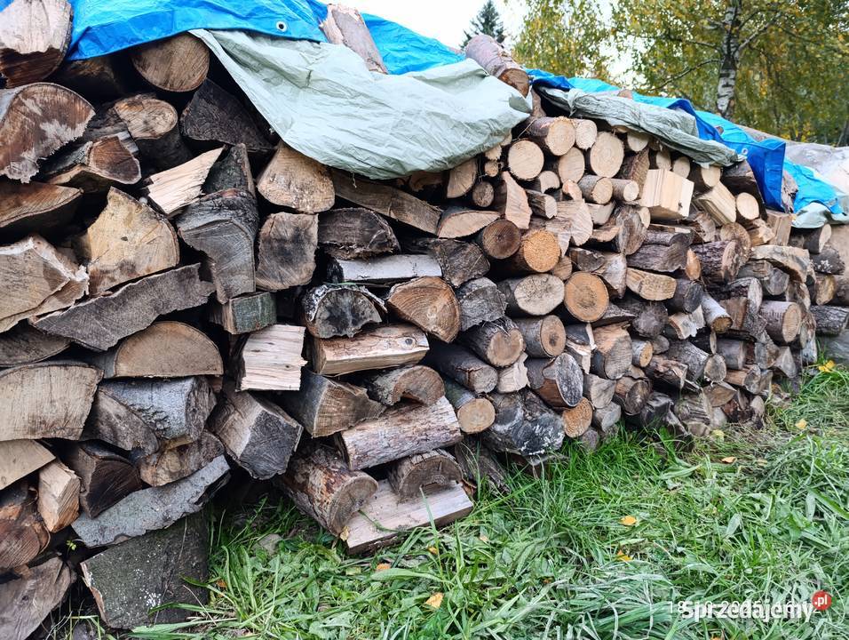 Drzewo mieszane suche Ropa