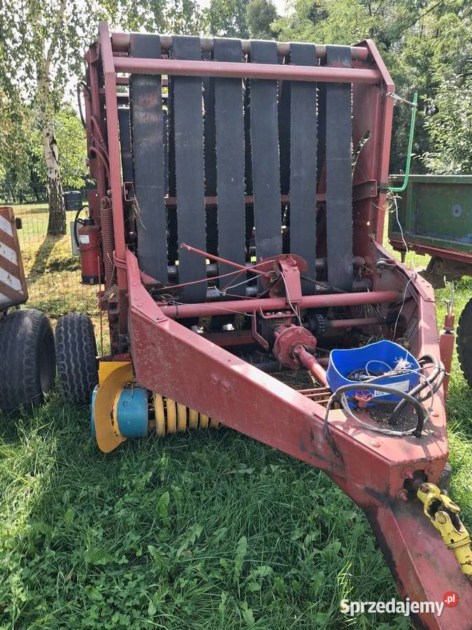 Sprzedam prase z 230 Gliwice