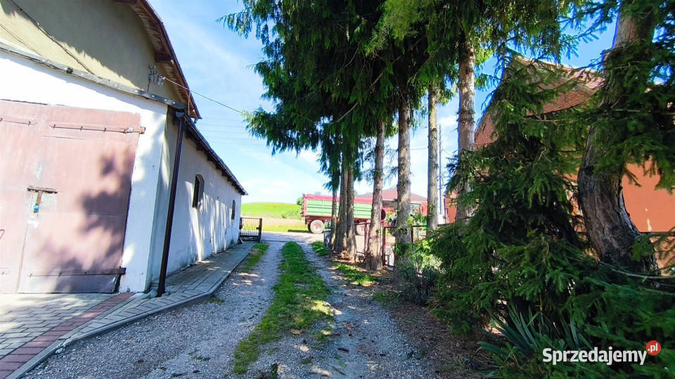 sprzedaży mieszkania Czernice 45 metrów