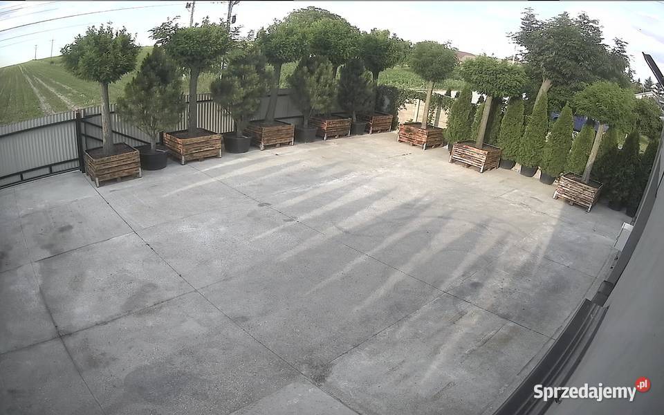 Działka 650m2 z budynkiem sklep warsztat 88m2 łódzkie Skierniewice