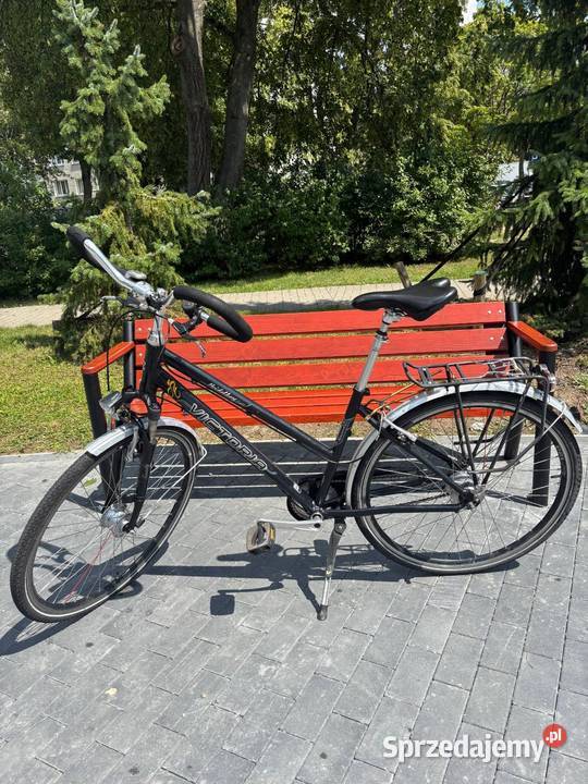 Rower damskimiejski Poznań