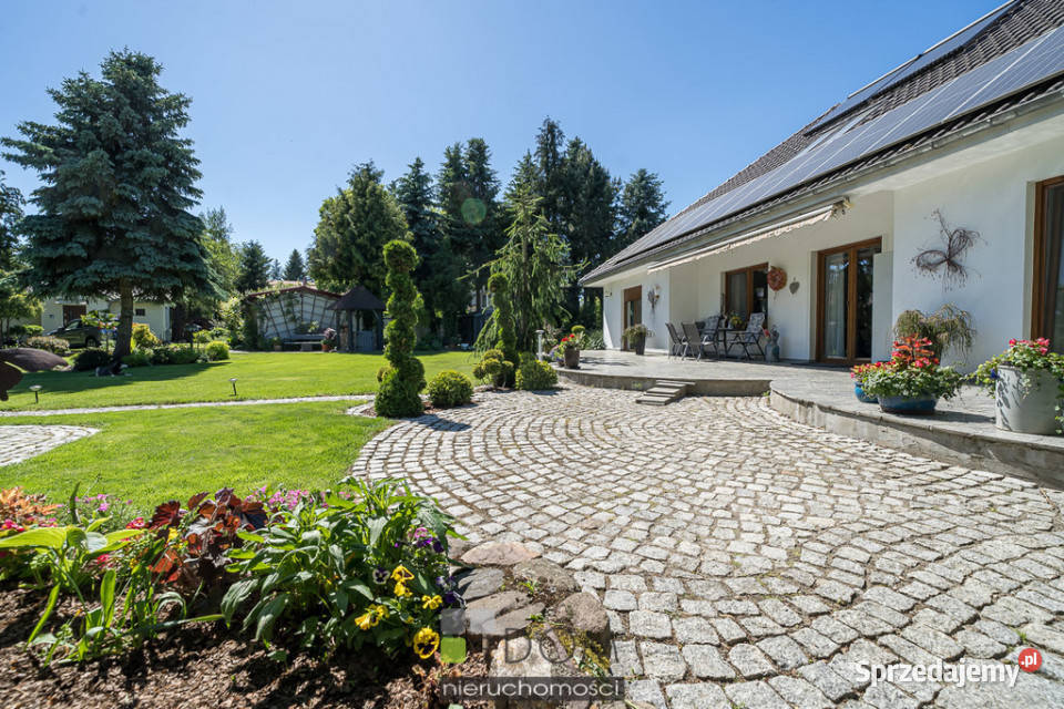 Dom wolnostojący 28958m2 Ośno Lubuskie 289.58m2 sprzedam