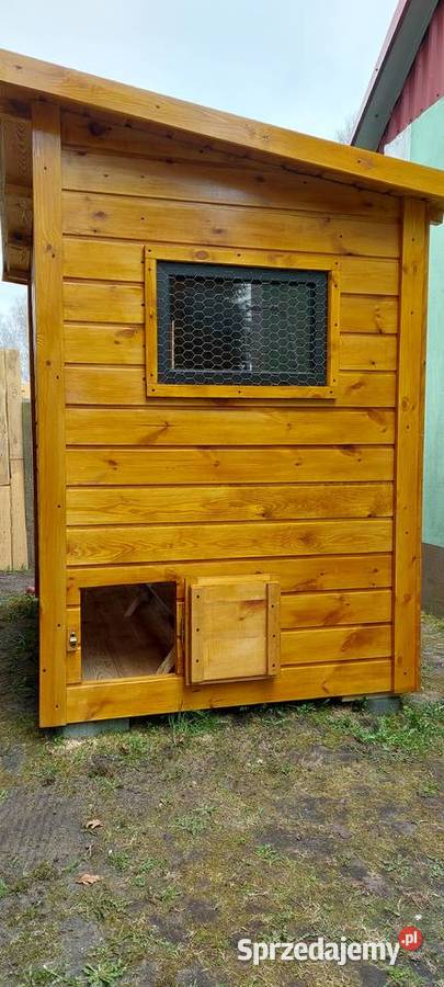 Kurniki kur Nowy śląskie Częstochowa