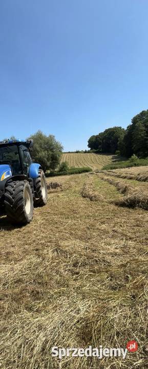 Sprzedam siano Pozostałe Nieszkowice