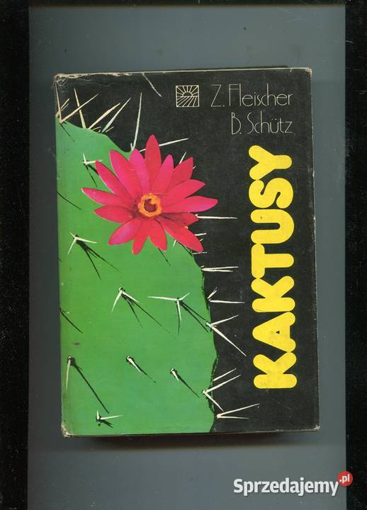 Kaktusy