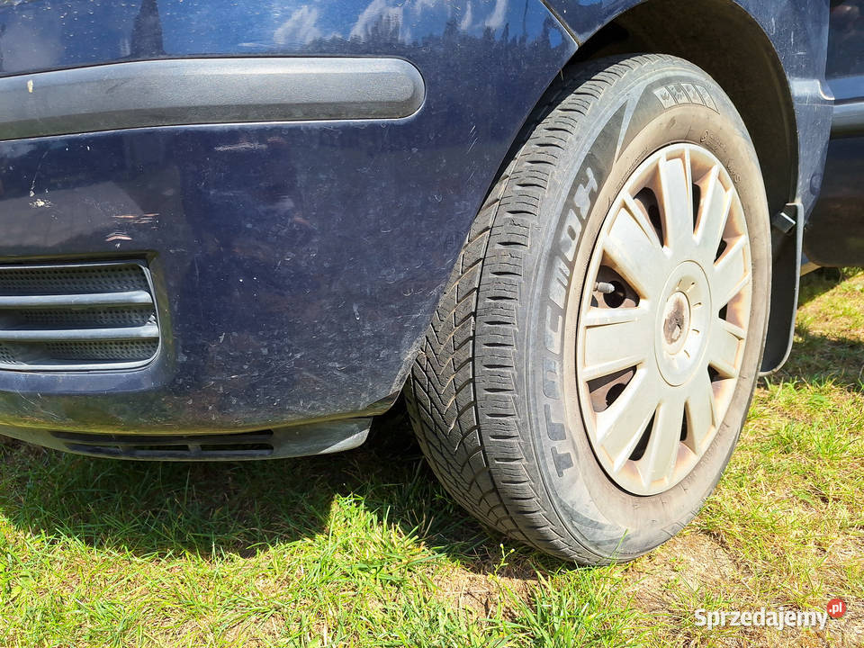 Ford Fusion 14 TDCi Ambiente 2004 Rok produkcji 2004 Łask