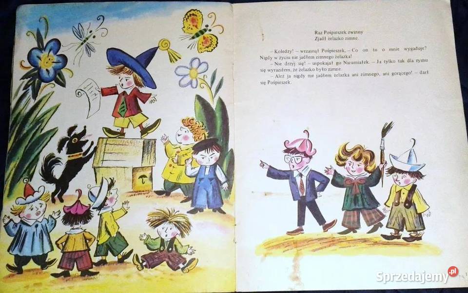 Przygody Nieumiałka Nieumiałek pisał wiersze