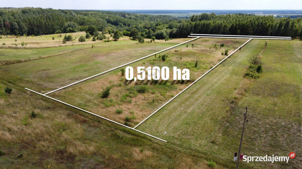 Działka rolna w Górzyskach Sprzedaż Nieruchomości Górzyska