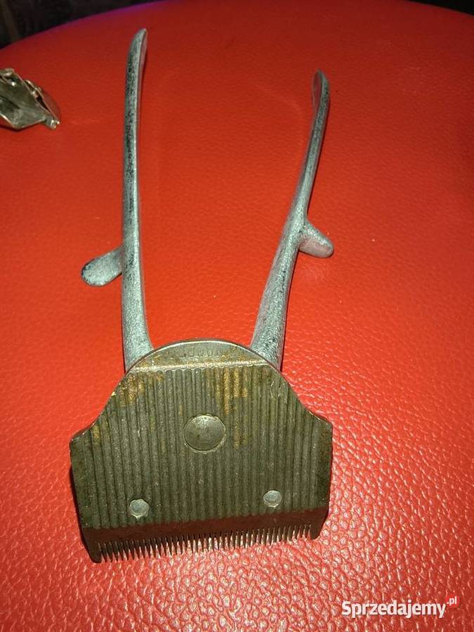 Golarki wojsk Wehrmachtu podlaskie