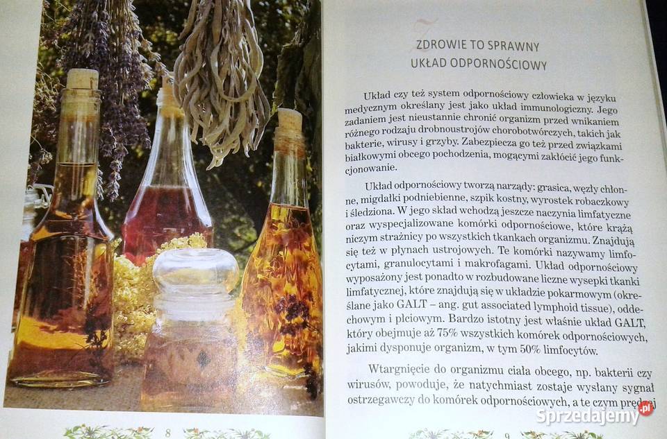 Ziołowa apteczka przeziębionych Zbigniew T Nowak Chełm