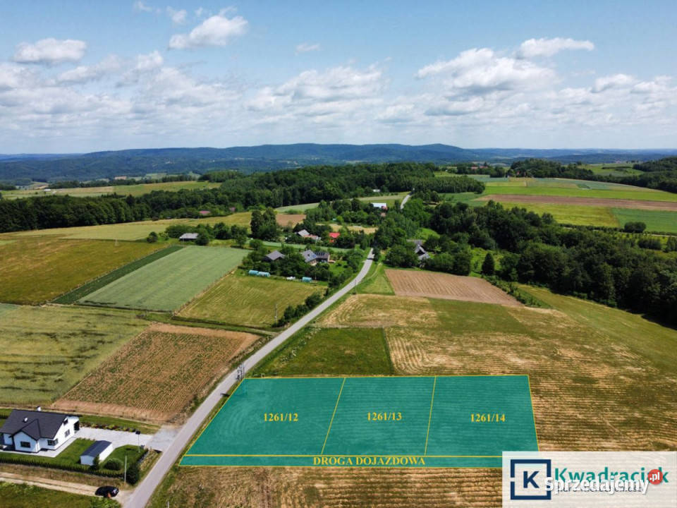 Działka Sowina 1227m2 podkarpackie