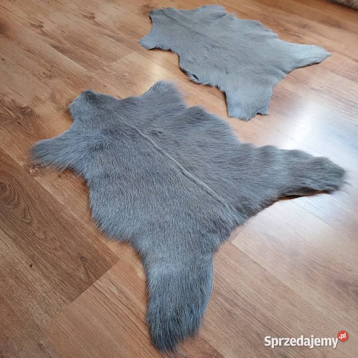 Skóra z Kozy Szara Skóry Kozie Naturalne Szare Szaflary