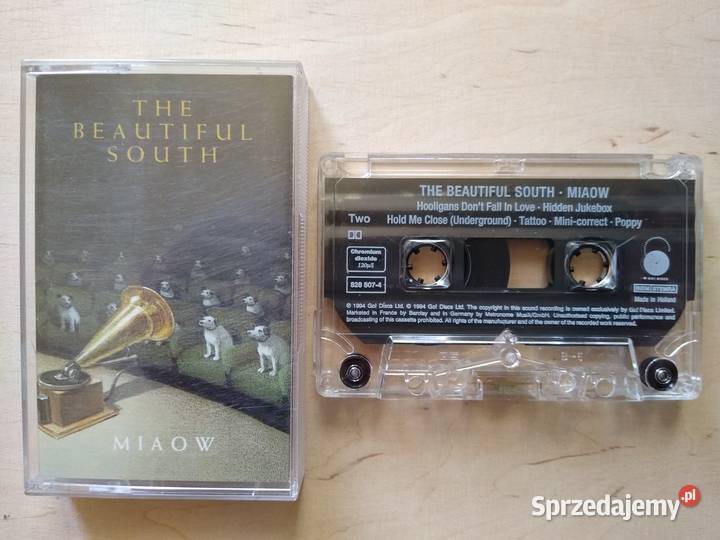 THE BEAUTIFUL SOUTH MIAOW Gdańsk