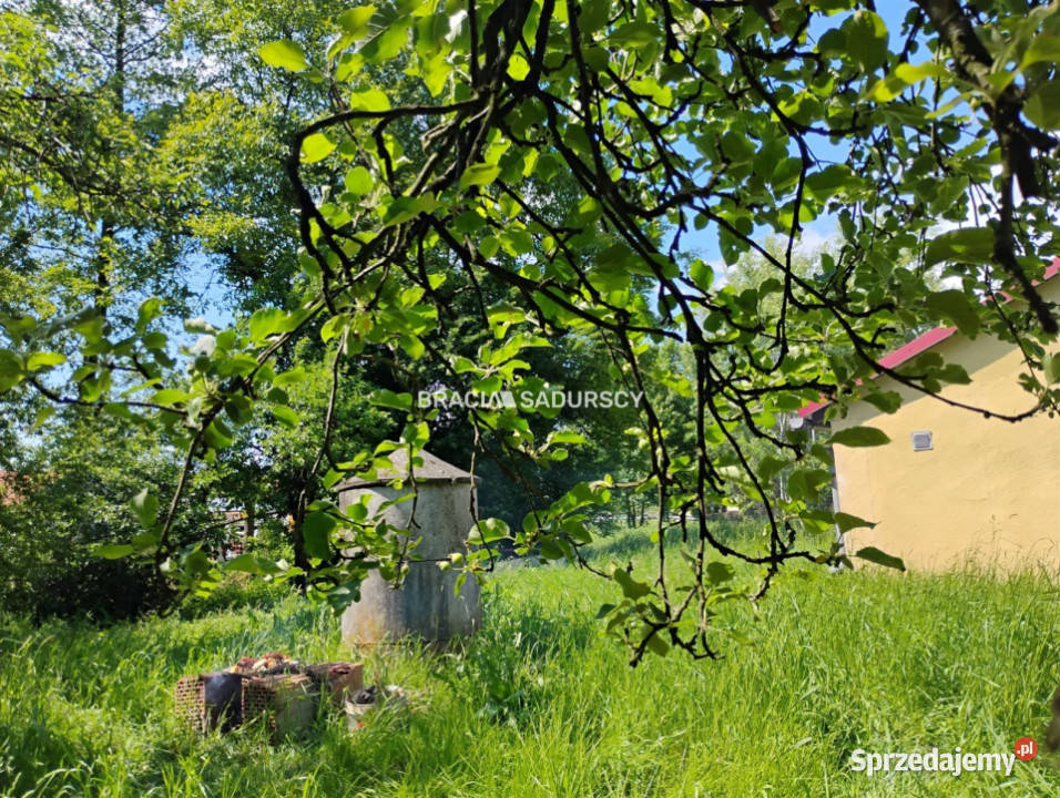 sprzedaży domu wolnostojącego Kłokoczyn 755m2 wolnostojący Domy